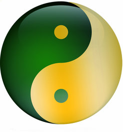 Der grüne und der goldene Weg zu Open Access ergänzen sich.